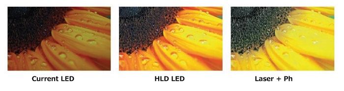 HLD LED