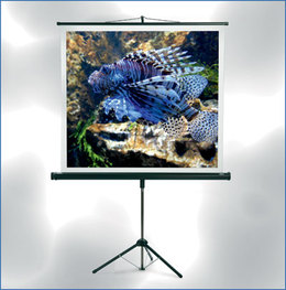 Купить Мобильные экраны JT Motors (MW) Экран на треноге Tripod Basic: цены, характеристики, фото в каталоге VEGA AV
