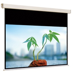 Купить Экраны с электроприводом с матово-белым полотном JT Motors (MW) Экран авт. Cinelectric Eco: цены, характеристики, фото в каталоге VEGA AV