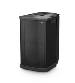 Купить Акустические системы BOSE BOSE F1 SUBWOOFER: цены, характеристики, фото в каталоге VEGA AV